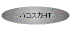 �n�R�X�J�g�s