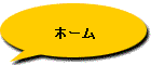 �z�[��
