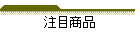 ���ڏ��i
